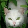 Profilbild von naura
