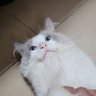 杰森's profile picture
