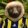 zabu profil fotoğrafı