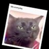 nullbrains's profile picture