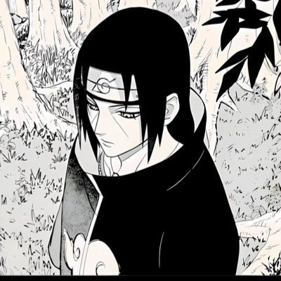 Shin🕳️'s profile picture