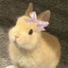 Profilbild von gisy