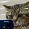 GTZax's profile picture