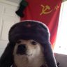 🛸 VOZTRO 的头像