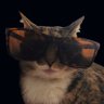 N's profile picture