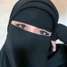 Фото профиля توليب