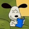 Mahdi's profile picture