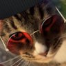 HEMi 🙂's profile picture