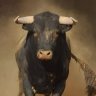 Knight Rider's profile picture