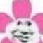 Profilbild von scallywag