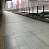 天音 的头像