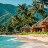 RainbowIsland profil fotoğrafı