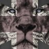 Profilbild von LionHeart