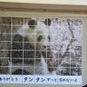 Фото профиля もふもふ