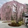 Фото профиля 渡辺由美