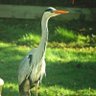 Lavrenti4683 profil fotoğrafı