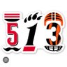 Profilbild von CincySportsFan