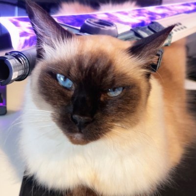 Tyraxe's profile picture