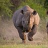 Фото профиля Jeff Hooper