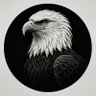 🦅 BlackWhiteVibes 🪼 的头像