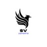 Profilbild von SV Esports