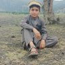 Hamad Mehsood 的头像