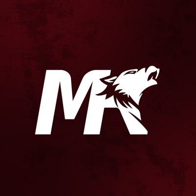 Milliyetçi Kavga's profile picture