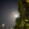 0117 的头像
