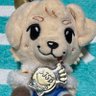 Profilbild von cyoko🐶_michi🍀*゜