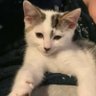Slapp's profile picture