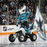 Profilbild von Optimistic Sharks Fan 🦈