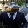 MR. Mayo's profile picture