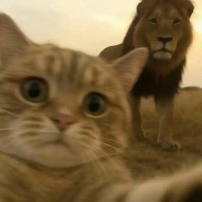 Error404744226's profile picture