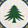 SJ 🌲's profile picture