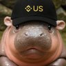 Tempestor's profile picture