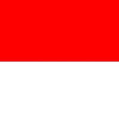 INDONESIYA88367's profile picture