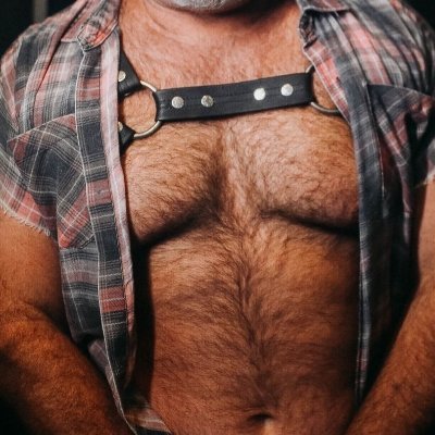 guiarruda71's profile picture