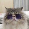 Nama tidak boleh kosong's profile picture