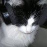 Profilbild von Kevin