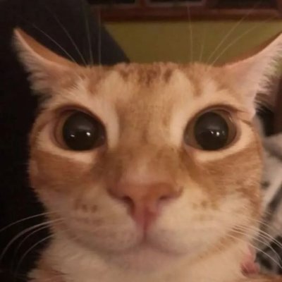 Boiya's profile picture