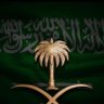 غازي بن زياد 的头像