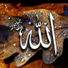 light of islam's profile picture