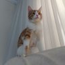 Фото профиля Hector