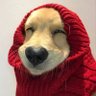 Duggu's profile picture