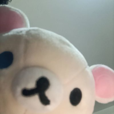 every_thingby's profile picture