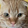 みー最強(65)'s profile picture