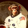 The Monkey in the Machine 🐒 的头像