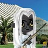 AlexCrypto.hl's profile picture