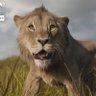 صالح profil fotoğrafı