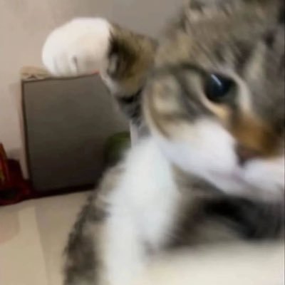 beyou_mm's profile picture